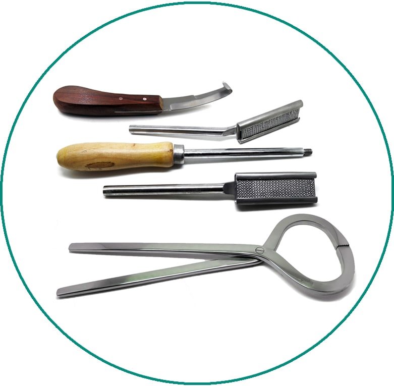 Veterinary Surgical Instruments